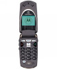 телефон Motorola V60